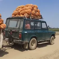 ARO 244, „tractorul” legumicultorilor. / Foto: captură video