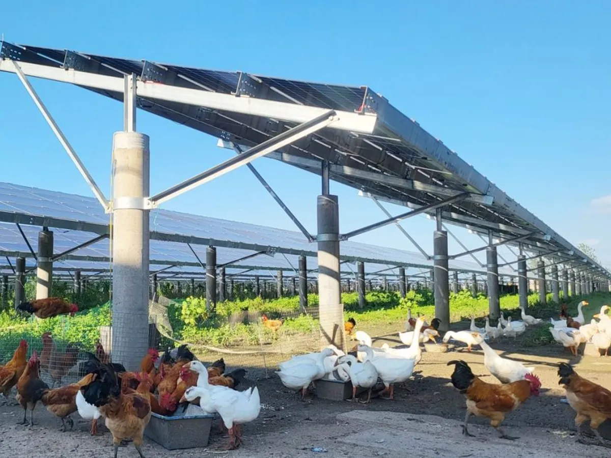 Cum poți pune panouri fotovoltaice și cultiva legume, pe același pământ? Iei și bani de la stat - Foto: Profimedia Images