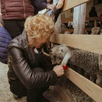 În campania electorală, Carmen Avram era preocupată de oile din România, ajunsă la Bruxelles o interesează elefantul african Foto: Facebook