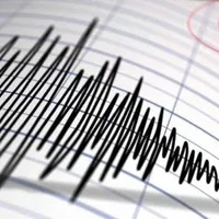 Cutremur puternic în zona seismică Vrancea, vineri dimineață. S-a resimțit în mai multe orașe - FOTO: Profimedia