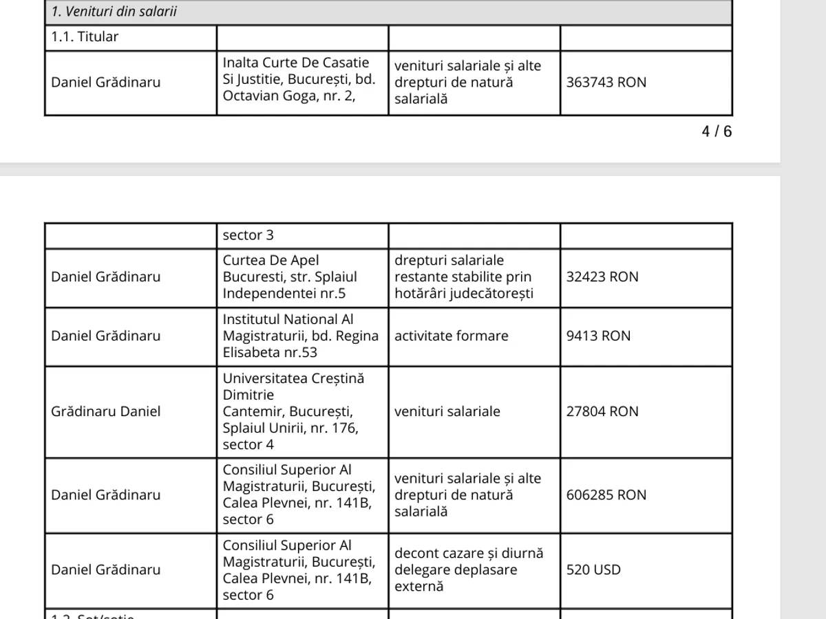 Venituri Daniel Grădinaru - Foto: ANI