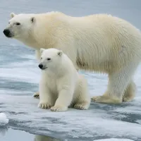 Foto: Getty Images