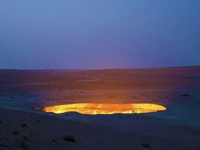 Gaura Foto: Profimedia