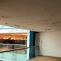 Tencuiala cade la Biblioteca Națională, după opt ani de neglijență. Foto Bogdan Oprea