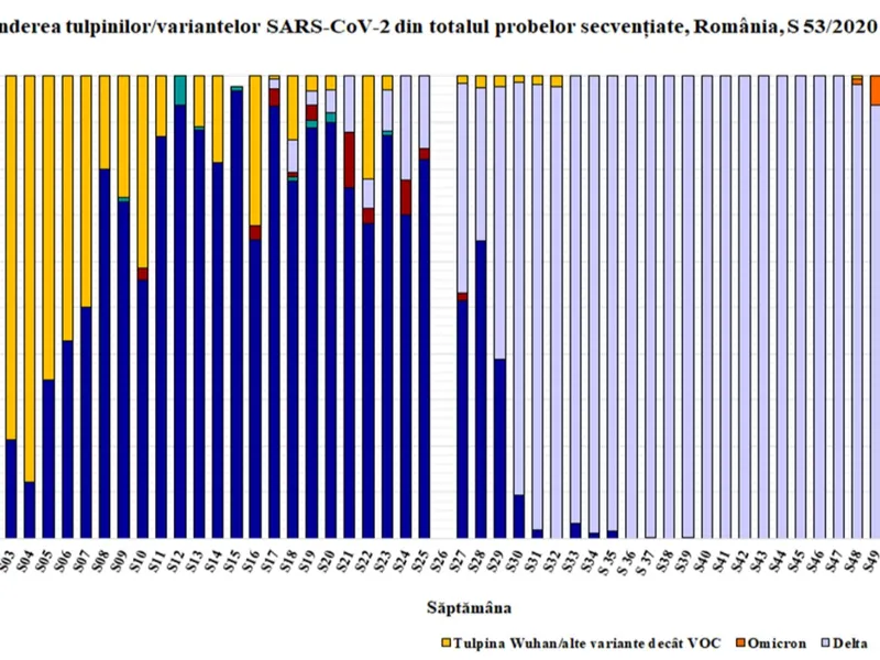 Ponderea tulpinii Omicron vs. Delta în secvențierile săptămânale. Sursa: INSP