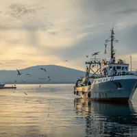 O bombă din al doilea război mondial a explodat sub o barcă de pescuit rănind șapte pescari/FOTO: Pixabay