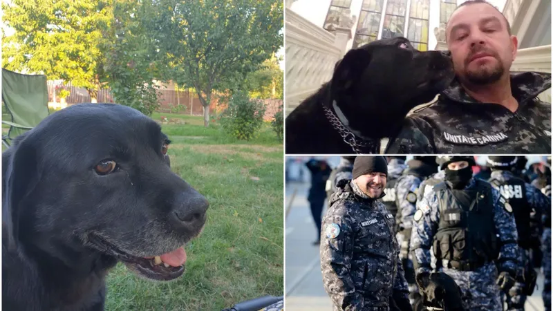 Penitenciarul Iaşi a pierdut un camarad loial: cățelușa Tina. Ea a mers la percheziții ani de zile Foto: colaj observator