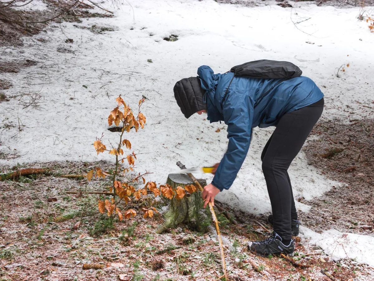 Cum să menții grădina activă toată iarna. Vei avea un sol mai fertil și plin de nutrienți la primăvară