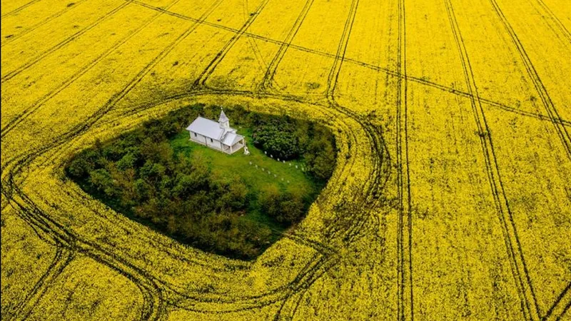 Biserica din pustietate, din județul Satu Mare - Foto: Ovi D. Pop