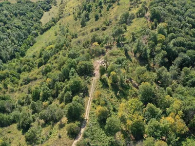 Turnul roman de la Negrilești - Foto: CMBN