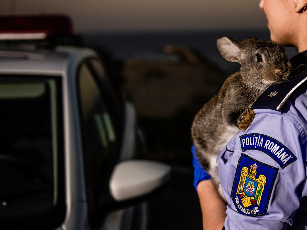 Foto: Politia Română