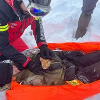 Scenariu de film? NU! Un tânăr care a căzut într-o râpă, ținut în viață 24h de pisicuța lui - Foto: Salvamont Maramureș