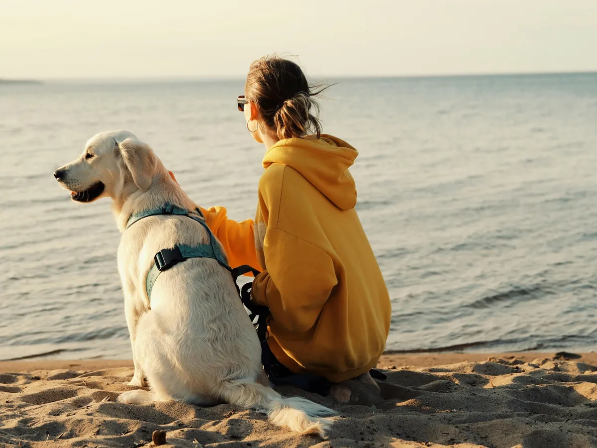 Horoscop 28 mai 2025. Taur – revelații, Scorpion – confruntări, Pești – decizii, Leu – inspirație  - FOTO: Pexels (imagine cu rol ilustrativ)