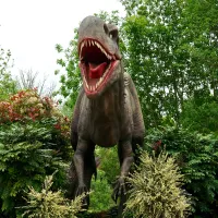 Jumătate dintre români cred că oamenii au trăit în același timp cu dinozaurii. Foto Pexels.com
