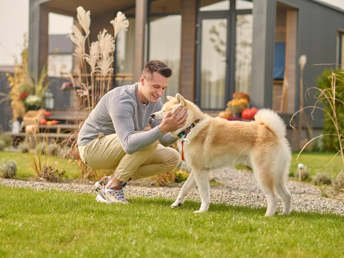Bărbat adult stând pe vine pe iarbă și mângâindu-și minunatul câine - Foto: Magnific.com (Imagine cu rol ilustrativ)