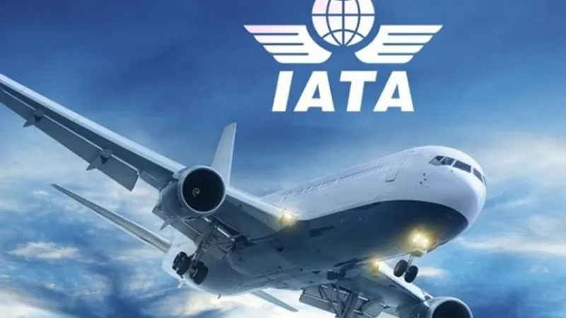 IATA dă vina pe guvernele din întreaga lume pentru prelungirea crizei din sectorul călătoriilor. / Foto: theloadstar.com