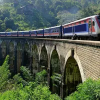 O turistă a fost la un pas de moarte după ce a scos capul pe fereastra trenului. Ce a pățit? - Foto: Profimedia Images (imagine cu rol ilustrativ)