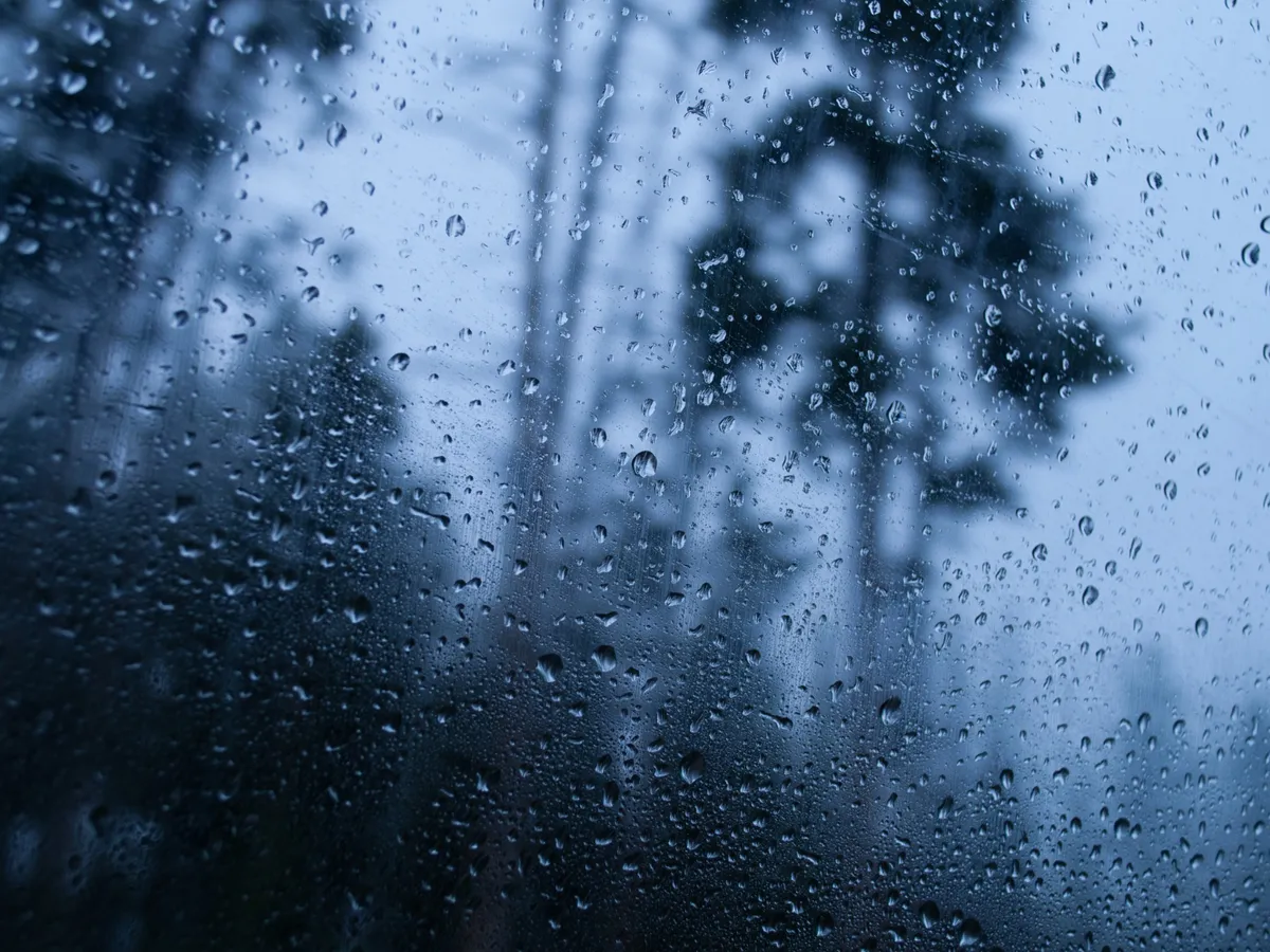 VREMEA se schimbă radicali de marți. Se întorc ploile și temperaturile scăzute în aproape toată țara Foto: Freepik (fotografie cu caracter ilustrativ)