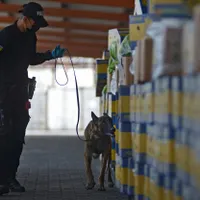 Peste 3,2 tone de cocaină cu destinația Europa, confiscate în Ecuador. / Foto: Profimedia