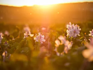 Val de caniculă fără precedent în vestul Europei. Temperaturi de peste 53 de grade în Spania/FOTO: Unsplash