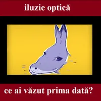 Iluzie optică Foto: Newsweek