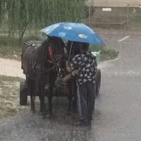 Cai - Foto: Facebook/Mariana Zaharia