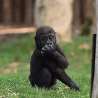 Foto: Facebook/ Zoo Krefeld