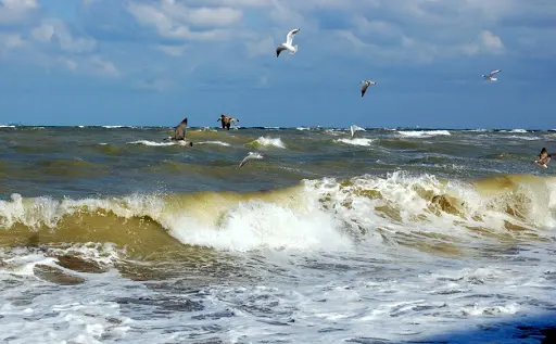 Marea Neagră. Foto Merg.in