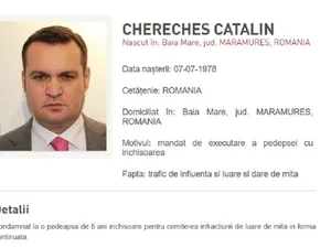 Primarul Cherecheș a fugit din țară folosind actul de identitate al unei rude. E condamnat la 5 ani - Foto: IGPR