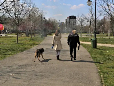 3.000 de lei amendă dacă îți lași câinele în această zonă protejată - Foto: Poliția Locală București (rol ilustrativ)