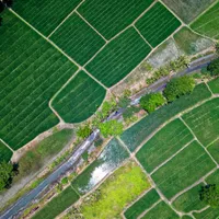 Tranzacțiile de terenuri vor putea fi făcute pe o aplicație. Vor fi trecute într-un registru unic Foto: Pexels (fotografie cu caracter ilustrativ)