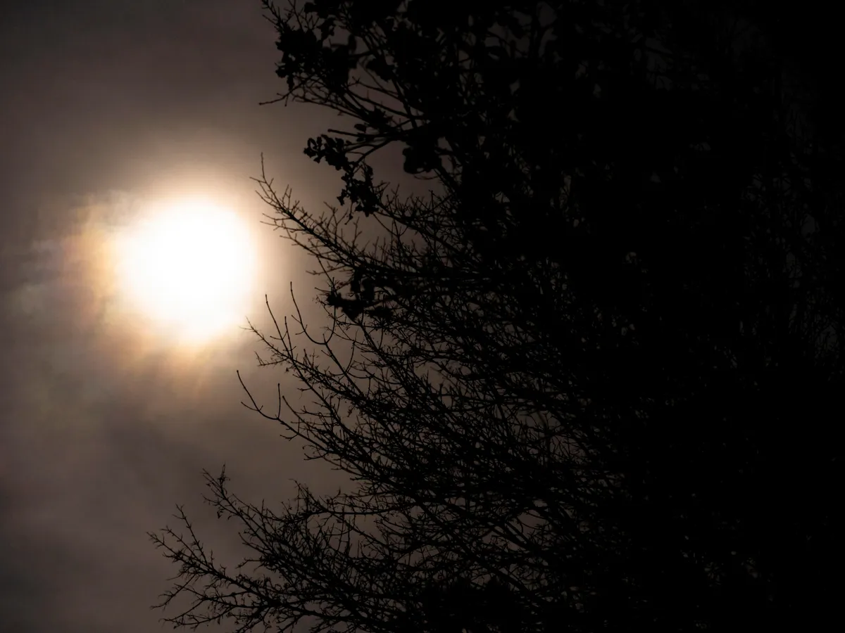 Eclipsă Foto: Freepik (imagine cu rol ilustrativ)