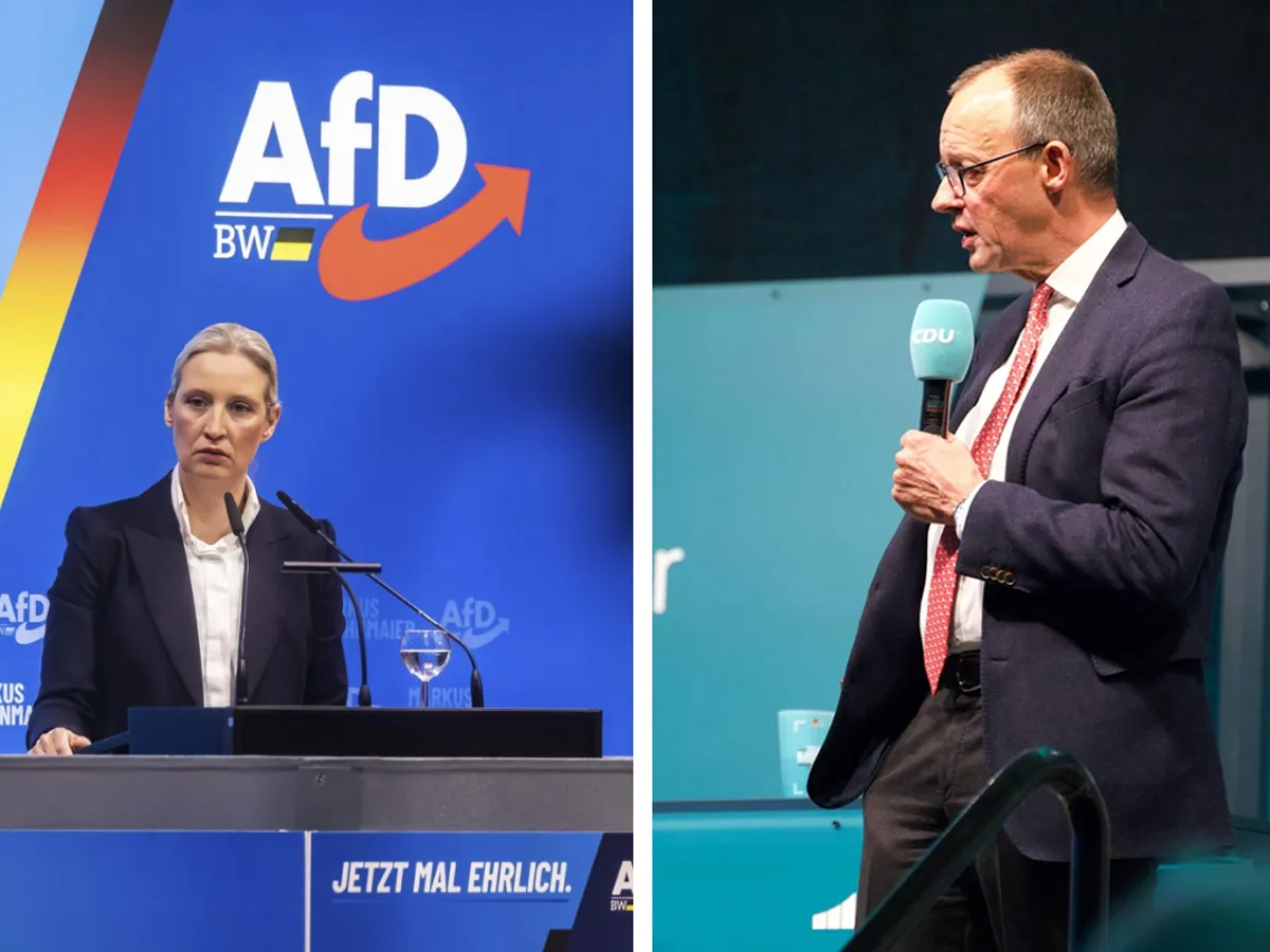 Alice Weidel și  Friedrich Merz - Foto: Profimedia images