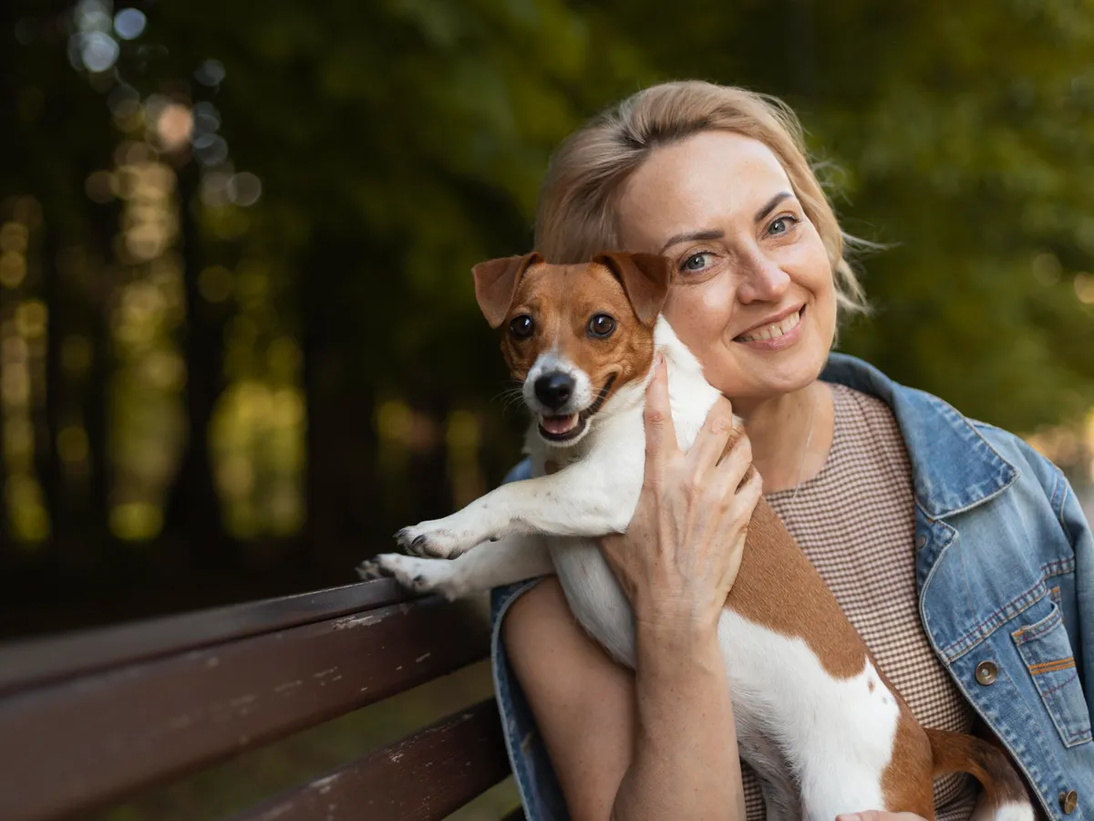 Primăria Capitalei oferă sterilizare gratuită pentru câinii de rasă comună. Unde te programezi - Foto: Freepik (Imagine cu rol ilustrativ)