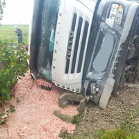 Intestine de găină pe un drum județean. Sursa: ISU Ialomița Facebook