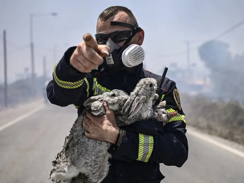 Pompier român care salvează un iepure din incendiile din Grecia - Foto: Profimedia Images