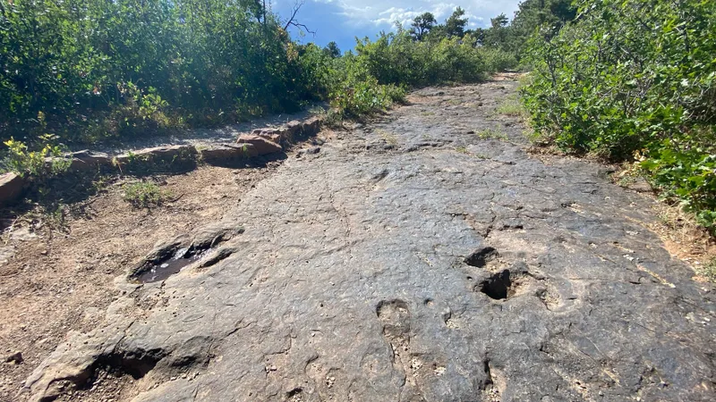 Dinozaurii, trei sferturi din plante și animale au fost distruse de un cataclism acum 66 mil. de ani Foto: Profimedia Images (fotografie cu caracter ilustrativ)