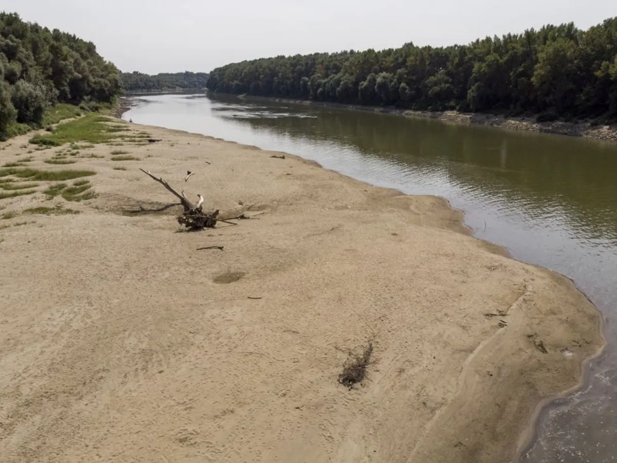 Banc de nisip pe râul Tisa, în dreptul localităţii Kiskore - Foto: Profimedia Images