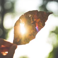 Record de temperatură în Canada. FOTO: Pexels.com