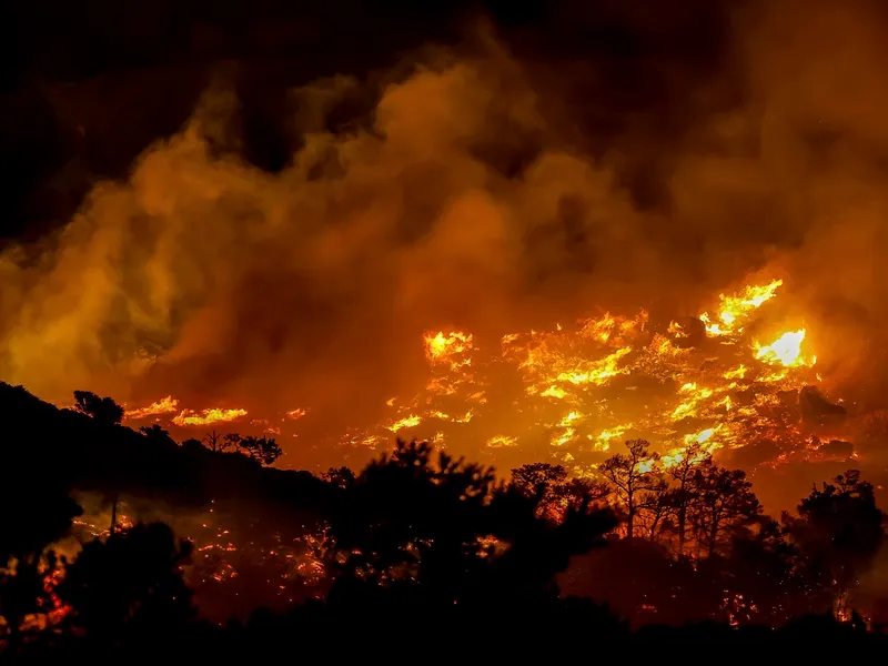 Europa, în flăcări. Franța și Grecia, devastate de incendii de vegetație. Furtuni violente în Italia - Foto: Profimedia images