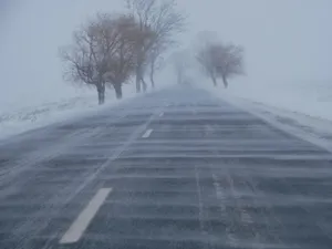 Viscolul face ravagii în sud-estul Româniai - Foto: Facebook/Compania Nationala de Administrare a Infrastructurii Rutiere