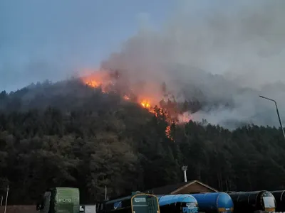 Flăcările au izbucnit duminică în pădurea de lângă Oituz. FOTO: Facebook