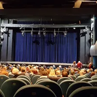 Sala Ciulei de la Teatrul Bulanda. Foto Teatrul Bulandra