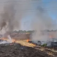 VIDEO Incendiu de vegetaţie uscată, în zona Ploieşti Triaj. Intervin pompierii - Foto: captură video ISU Prahova