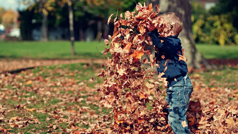Vremea în Septembrie- Foto: PEXELS PHOTOS/Scott Webb