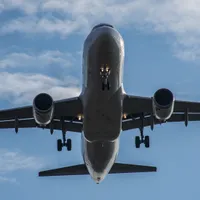 Cum a reușit un șobolan să întârzie trei ore un zbor. Cum a ajuns acesta în aeronavă  - Foto: Profimedia / imagine cu caracter ilustrativ