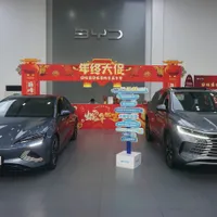 Chinezii de la BYD anunţă creşterea vânzărilor de vehicule electrice, reducând decalajul de Tesla - Foto: Profimedia Images (Imagine cu rol ilustrativ)