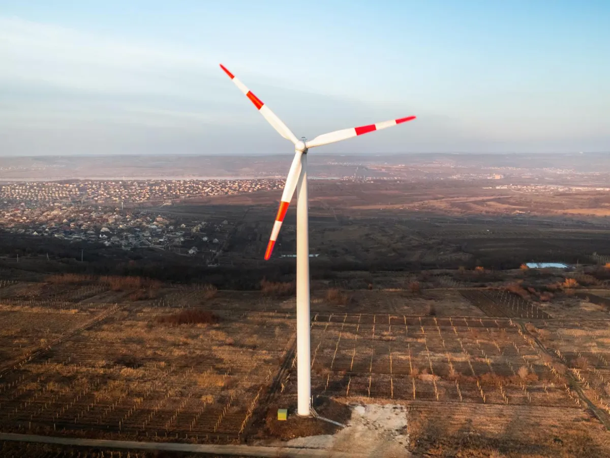 Eoliană Foto: Freepik (rol ilustrativ)