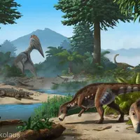 Transylvanosaurus platycephalus / Foto: (c) Peter Nickolaus - ilustraţie,(c) Dylan Bastiaans - Universitatea din Zürich