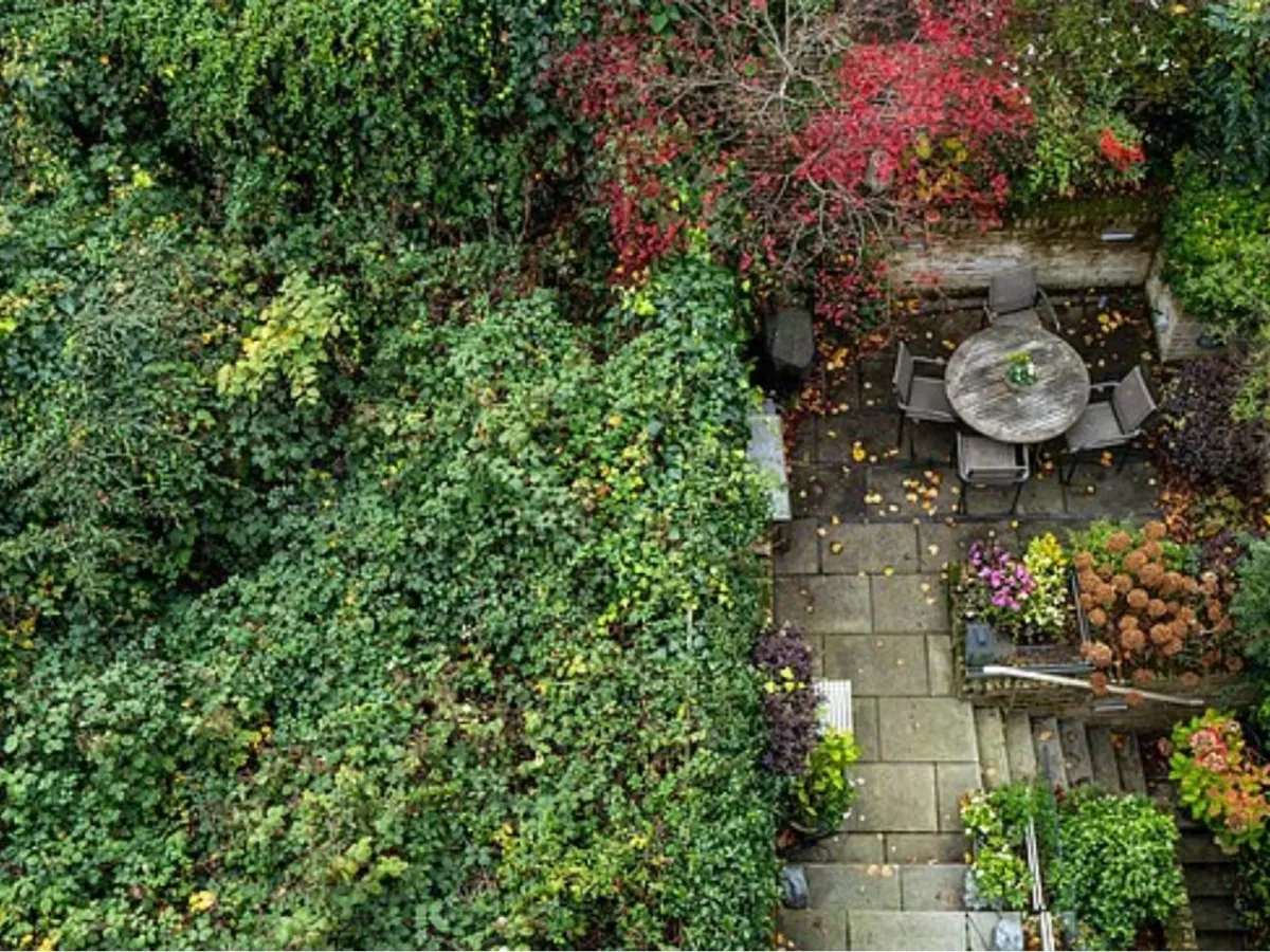 Vina unde a fost descoperit cadavrul - Foto: Daily Mail